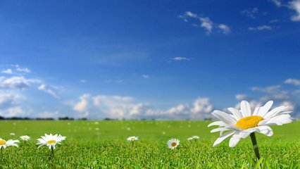 磁粉制動(dòng)器的安裝條件